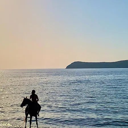 Ferienhaus Sea Sunset View, Walk To The *