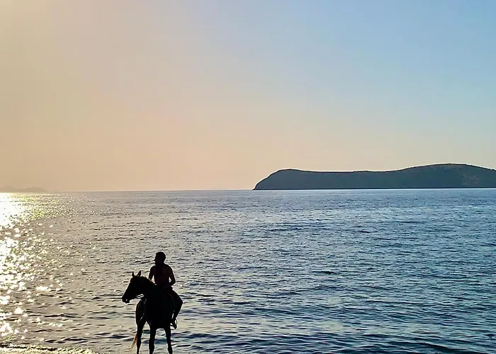 Дом отдыха Sea Sunset View, Walk To The *